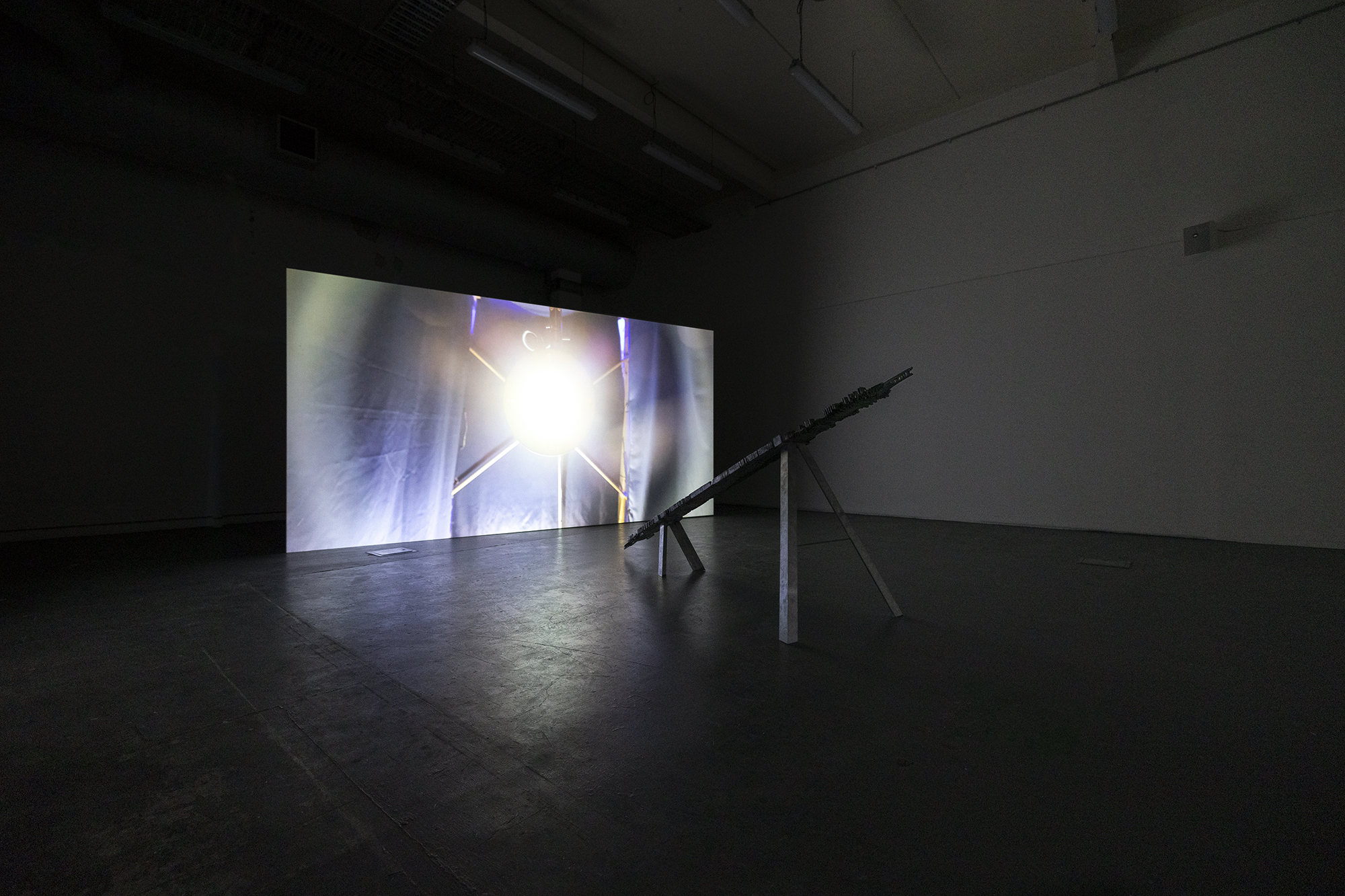 Tommaso Nervegna-Reed - Light Therapy N⁰03 (CAM), 2021.jpg